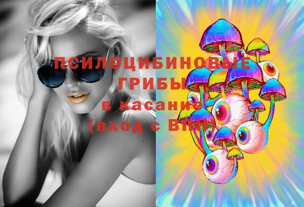 дживик Аркадак