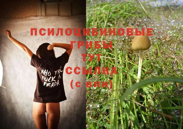 дживик Аркадак
