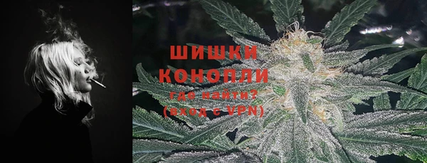 дживик Аркадак
