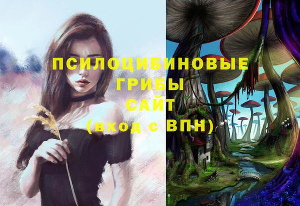 меф Арсеньев