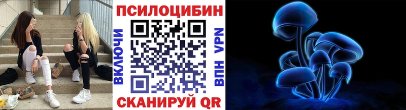 kraken онион Никольск Псилоцибиновые грибы Magic Shrooms